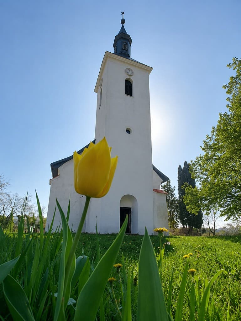 Bogártelke